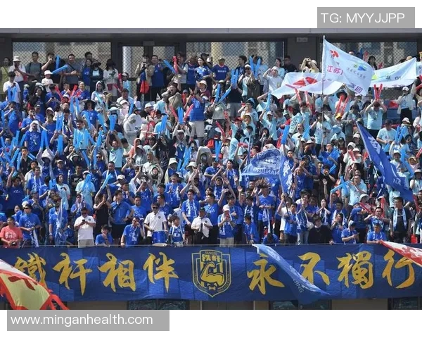 南京排球队的团队协作策略与实战表现深度分析与探讨 南京排球队的团队协作策略与实战表现深度分析与探讨