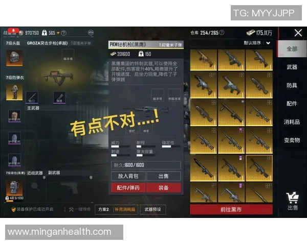 和平精英战术解析：深入探讨BLG战队的快速进攻策略与执行技巧