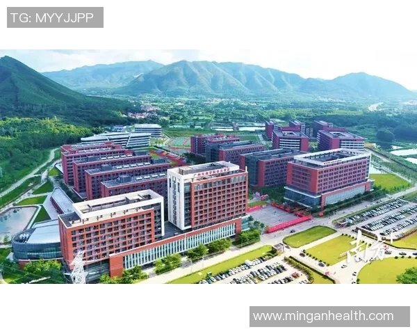 广州乒乓球队防守革新之路探索与实践的深度分析与展望