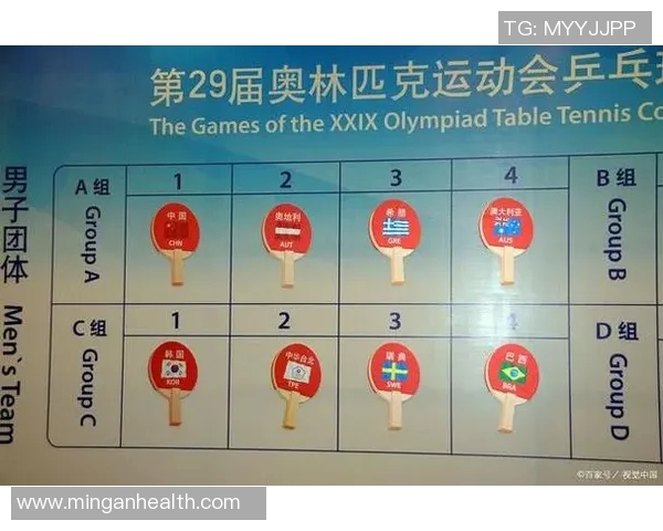 成都乒乓球队运营模式解析及其对乒乓球发展的影响探讨