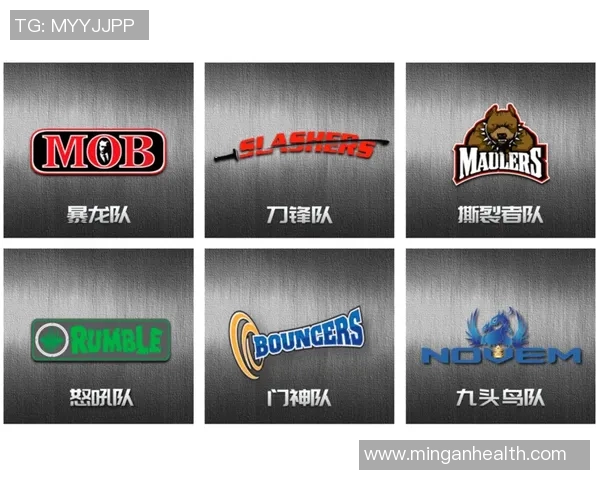 深圳极限运动队如何通过团队协作变革提升竞技水平与运动体验