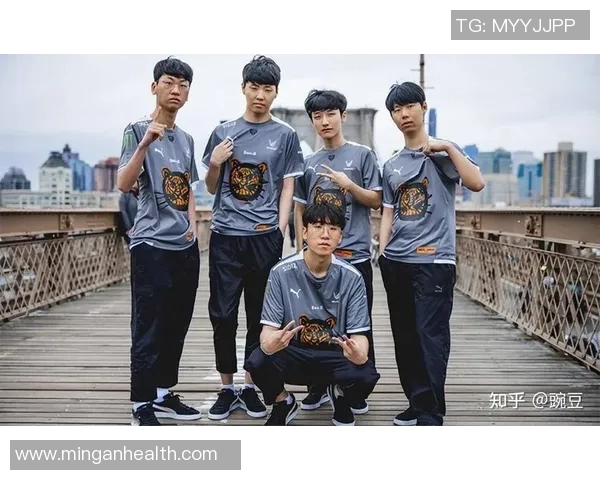 英雄联盟深度解析：FPX战队如何通过团队协作实现辉煌成就