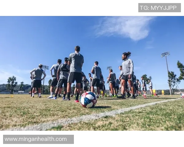 劳塔罗引领新风潮足球场上的年轻巨星崛起之路与挑战