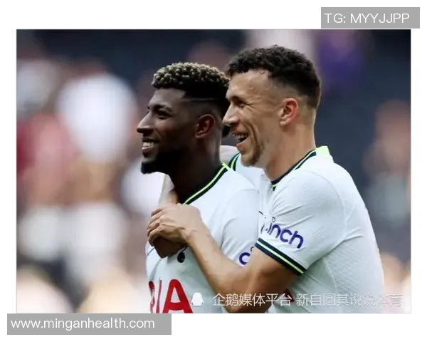 热刺与埃弗顿精彩对决回放全程回顾与赛后分析