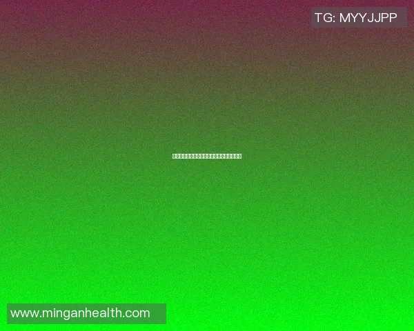 王少杰：从平凡到卓越的奋斗历程与人生启示