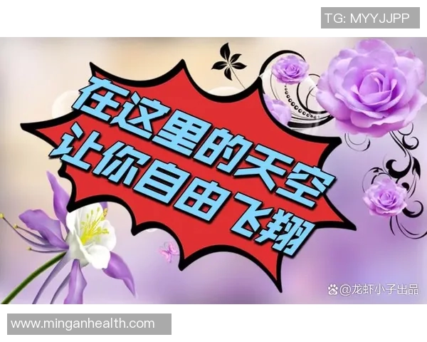 301梦想与自由人之间的碰撞与思考探索人生的选择与追求