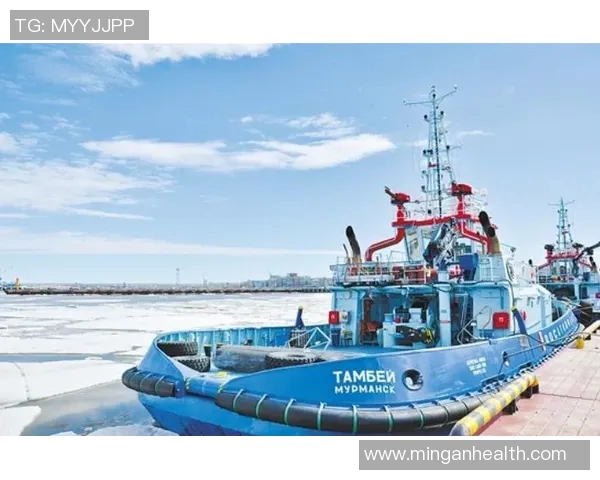 亚马尔地区的资源开发与国际合作前景分析及其对全球能源格局的影响