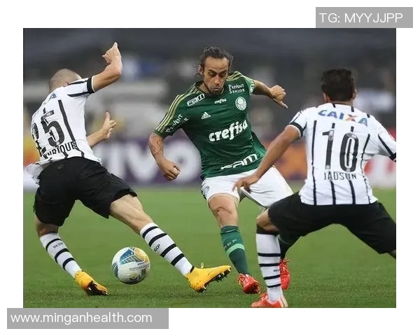 博卡青年与帕尔梅拉斯激战在即谁将赢得南美洲足球巅峰对决